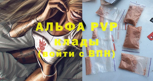 прущие грибы Балабаново