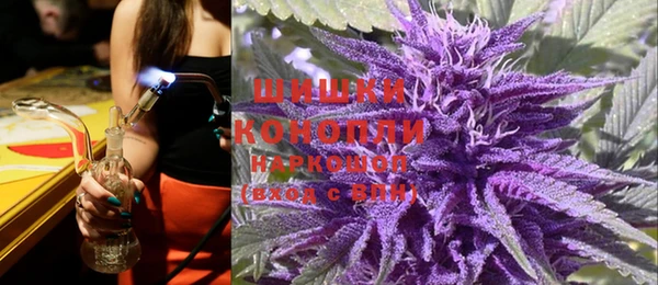 ГАЛЛЮЦИНОГЕННЫЕ ГРИБЫ Баксан